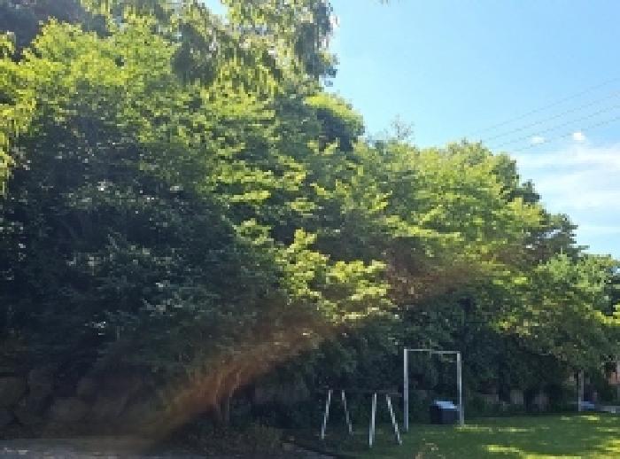 전라남도 해남군 삼산면 원진리 산75-5 임야 경매 사진 14