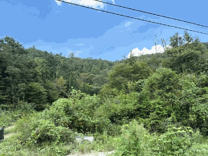 전라남도 해남군 임야