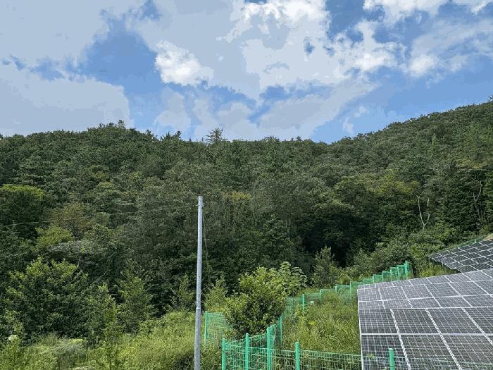 전라남도 해남군 현산면 일평리 산24-2 임야 경매 사진 2