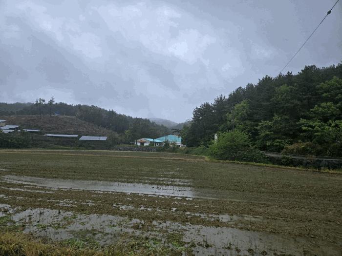 경상남도 사천시 서포면 구랑리 509 운동시설 경매 사진 1