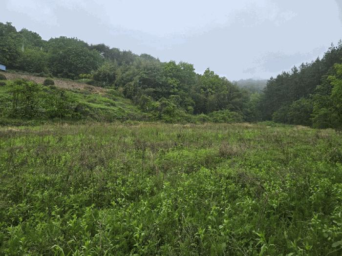 경상남도 사천시 서포면 구랑리 509 운동시설 경매 사진 2