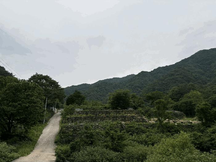 경상남도 하동군 화개면 대성리 272 답 경매 사진 6