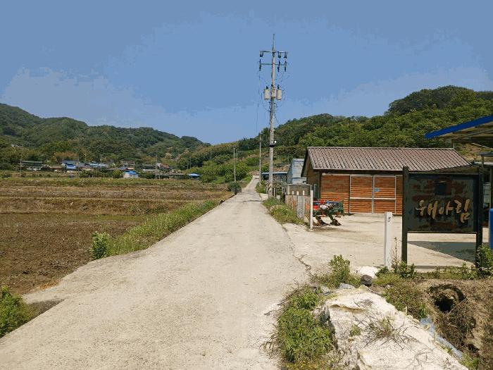 경상남도 산청군 신안면 안봉리 산224-2 임야 경매 사진 3
