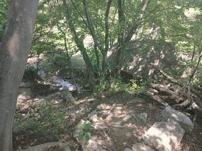 경상남도 산청군 신안면 안봉리 산224-2 임야 경매 사진 5