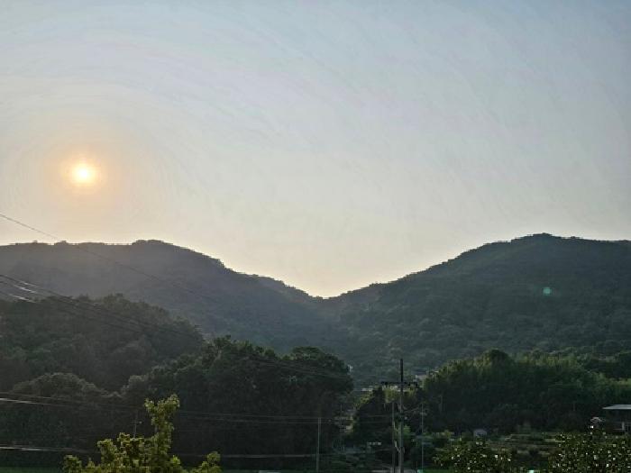 경상남도 산청군 신안면 안봉리 산224-2 임야 경매 사진 9