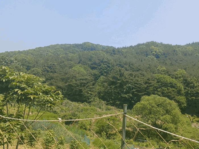 경상남도 산청군 신안면 안봉리 518-1 답 경매 사진 1