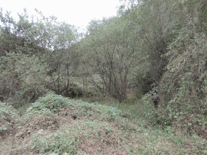 전라남도 순천시 별량면 대룡리 164-1 답 경매 사진 15