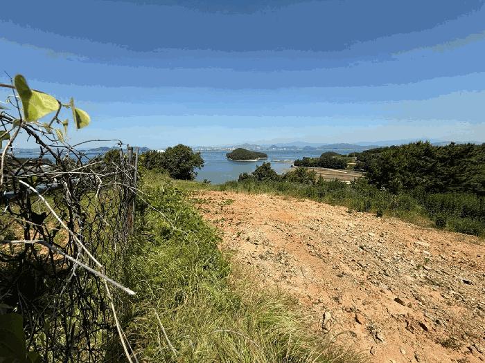 경상남도 남해군 서면 정포리 산133-1 임야 경매 사진 2