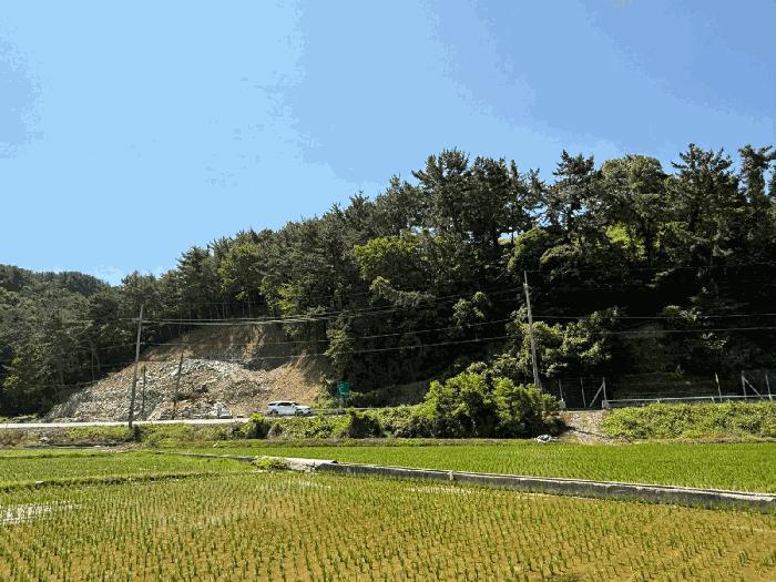 경상남도 남해군 서면 정포리 산133-1 임야 경매 사진 7
