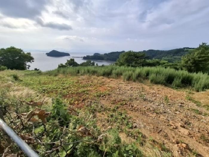 경상남도 남해군 서면 정포리 산133-1 임야 경매 사진 8
