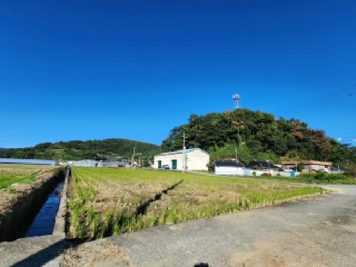 전라남도 순천시 별량면 구룡리 671-12 답 경매 사진 6
