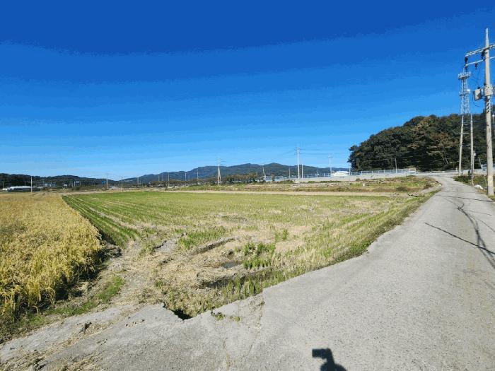 전라남도 순천시 별량면 구룡리 676-5 답 경매 사진 3