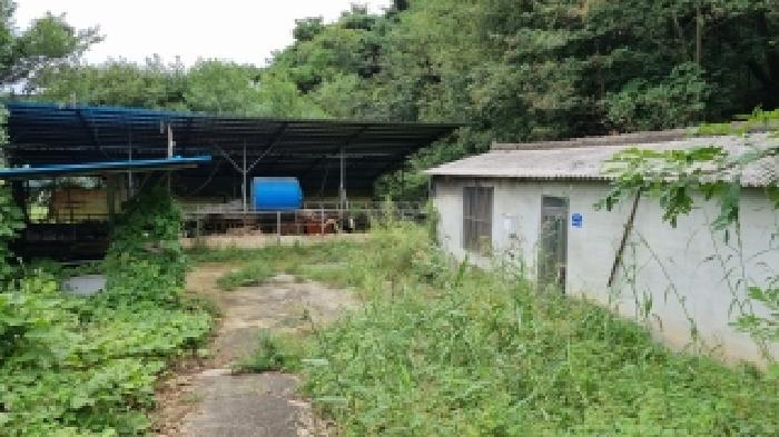 전북특별자치도 장수군 산서면 마하리 457 축사(농가시설) 경매 사진 7