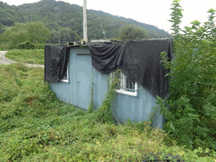 전북특별자치도 장수군 천천면 삼고리 1033 답 경매 사진 4