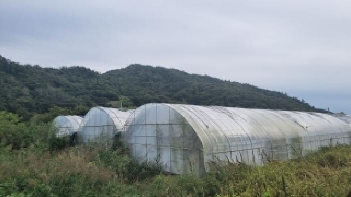 전북특별자치도 장수군 천천면 삼고리 1033 답 경매 사진 7