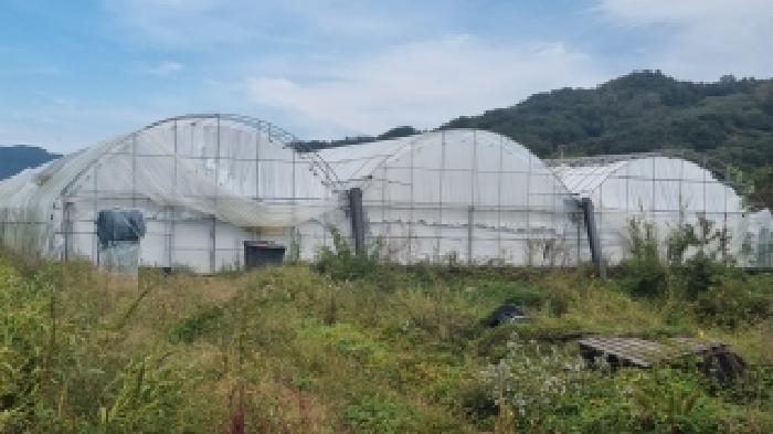 전북특별자치도 장수군 천천면 삼고리 1033 답 경매 사진 8