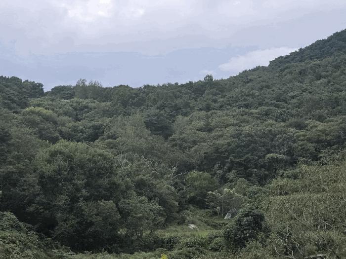 전북특별자치도 순창군 풍산면 죽곡리 500-2 답 경매 사진 2