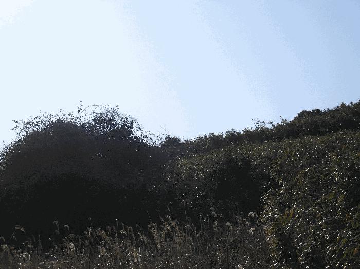 전라남도 여수시 삼산면 덕촌리 1069 전 경매 사진 18