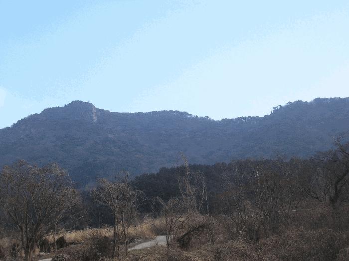 전라남도 여수시 삼산면 서도리 301 전 경매 사진 12
