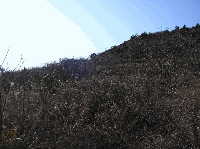 전라남도 여수시 삼산면 서도리 301 전 경매 사진 19