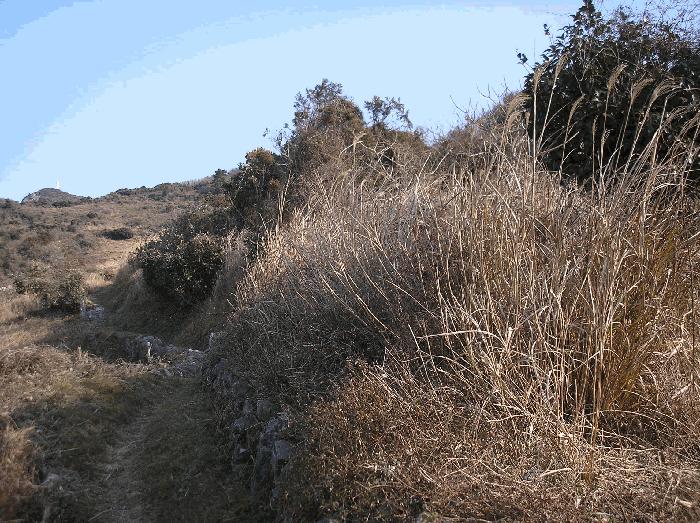 전라남도 여수시 삼산면 서도리 301 전 경매 사진 7