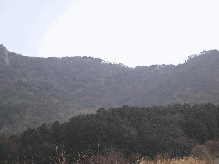 전라남도 여수시 삼산면 동도리 342 전 경매 사진 1