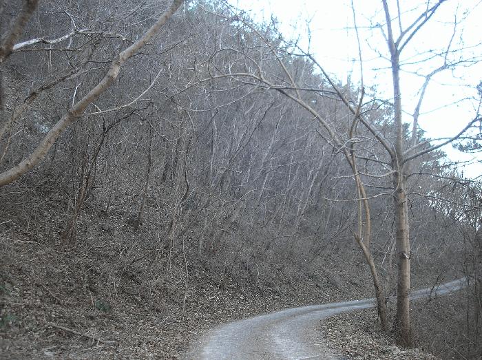 전라남도 여수시 삼산면 동도리 342 전 경매 사진 11