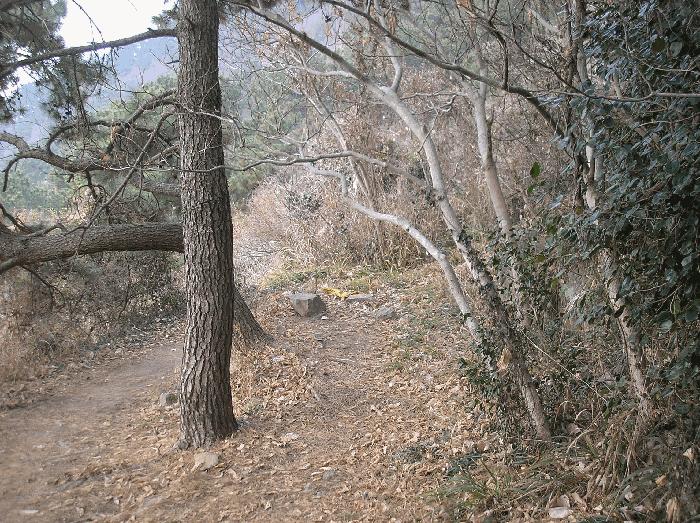 전라남도 여수시 삼산면 동도리 342 전 경매 사진 13