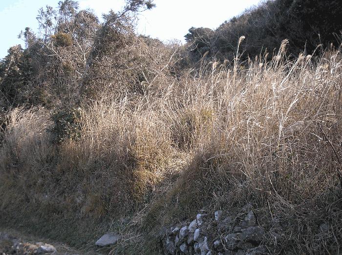 전라남도 여수시 삼산면 동도리 342 전 경매 사진 17