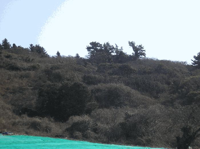 전라남도 여수시 삼산면 동도리 342 전 경매 사진 9