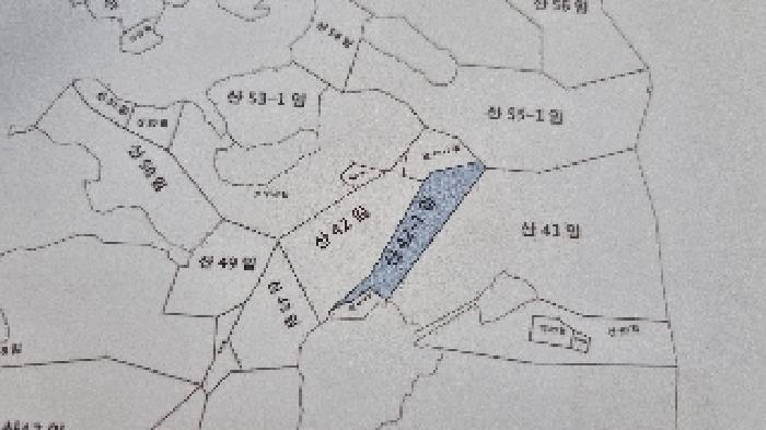전북특별자치도 남원시 주생면 낙동리 산42-1 임야 경매 사진 6
