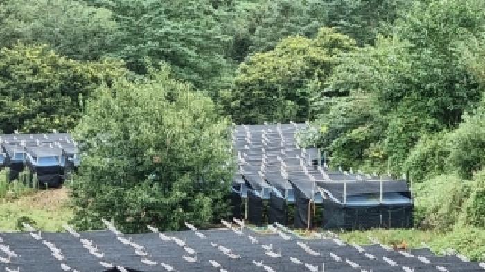전북특별자치도 장수군 계북면 원촌리 175 답 경매 사진 19