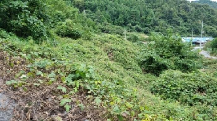 전북특별자치도 장수군 계북면 원촌리 284 임야 경매 사진 13