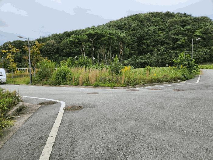 전라남도 함평군 대지