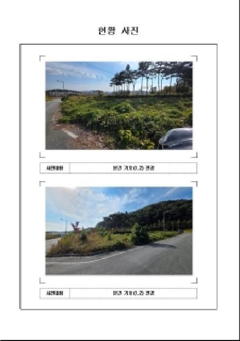 전라남도 함평군 월야면 외치리 982 대지 경매 사진 5