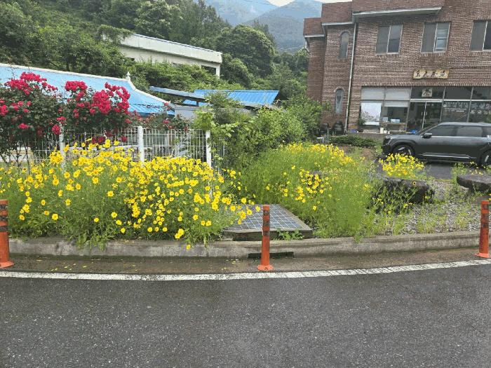 경상남도 하동군 화개면 덕은리 200-1 공장 경매 사진 3