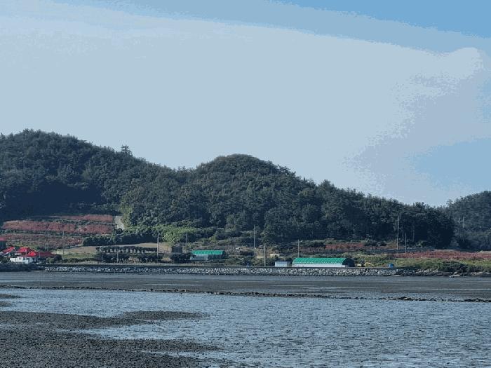 전라남도 신안군 증도면 병풍리 산142 임야 경매 사진 9