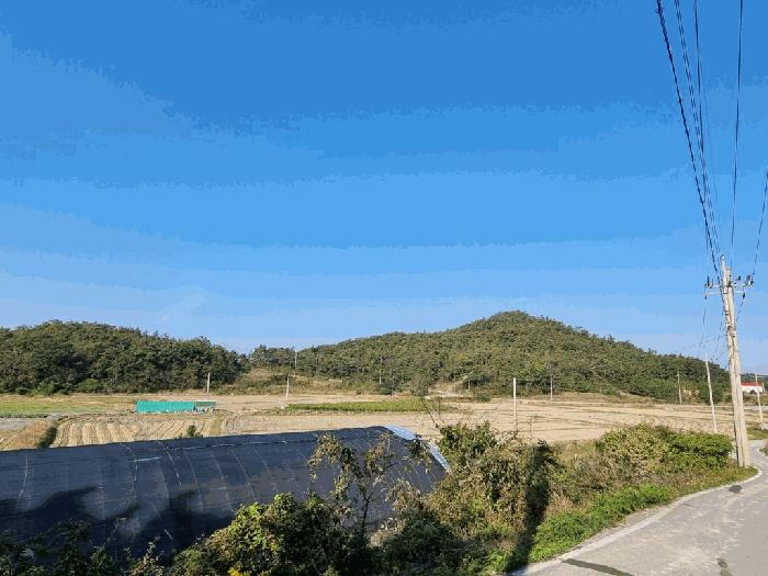 전라남도 신안군 증도면 병풍리 산160-1 임야 경매 사진 1