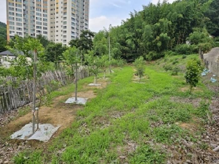 경상남도 진주시 금산면 장사리 833-3 대지 경매 사진 12