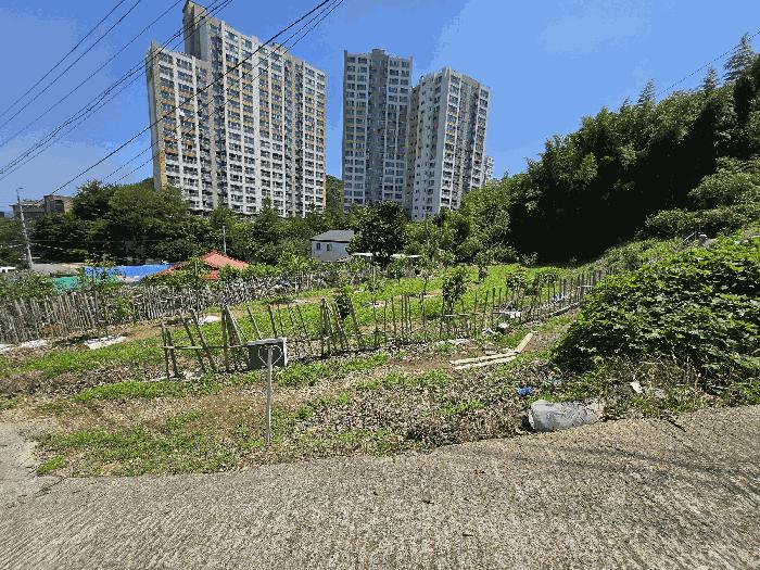 경상남도 진주시 금산면 장사리 833-3 대지 경매 사진 2