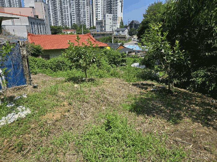 경상남도 진주시 금산면 장사리 833-3 대지 경매 사진 5