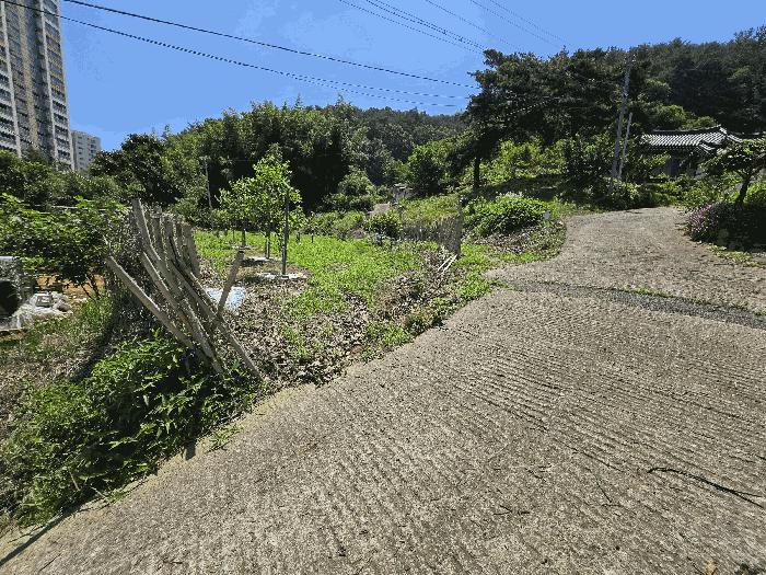경상남도 진주시 금산면 장사리 833-3 대지 경매 사진 6