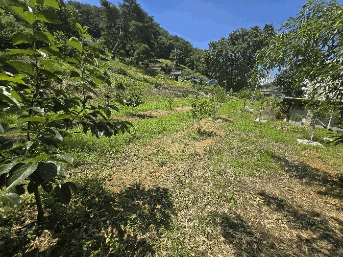 경상남도 진주시 금산면 장사리 833-3 대지 경매 사진 7