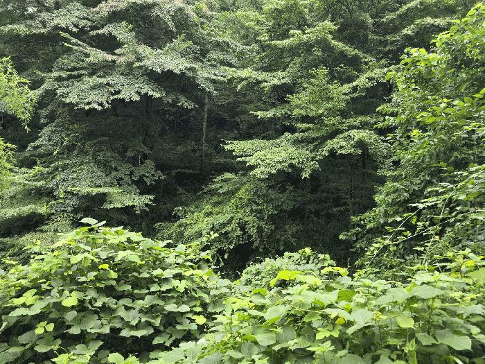 전북특별자치도 장수군 장수읍 수분리 953 전 경매 사진 14