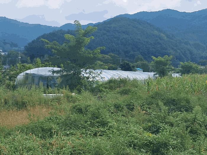 전북특별자치도 장수군 계남면 가곡리 892 답 경매 사진 3