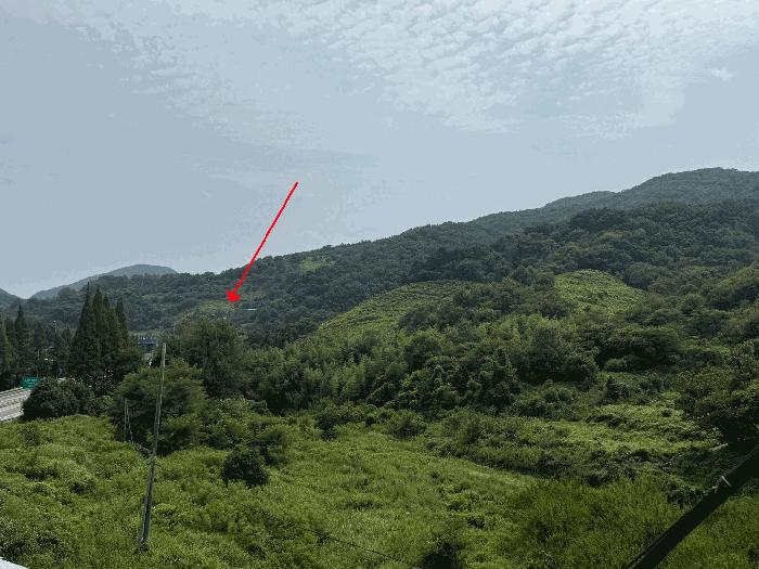 전라남도 광양시 중군동 산139-3 임야 경매 사진 11