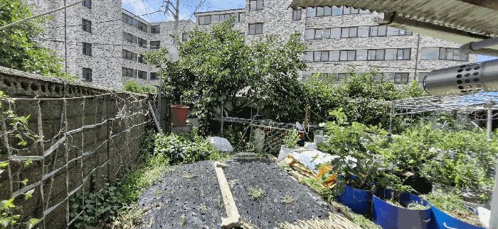 전북특별자치도 전주시 완산구 평화동2가 601-1 대지 경매 사진 8