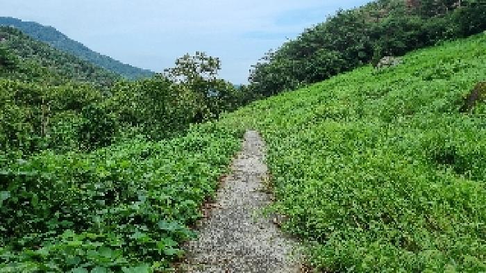 전북특별자치도 순창군 적성면 석산리 279-4 답 경매 사진 15