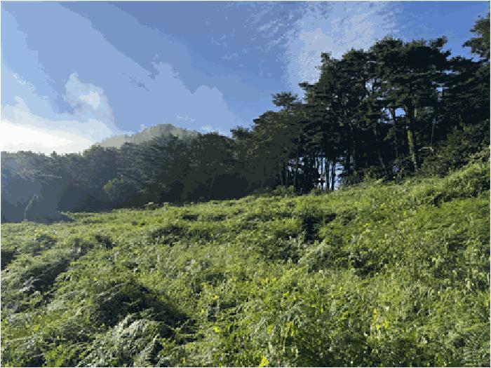전북특별자치도 순창군 적성면 석산리 279-4 답 경매 사진 4