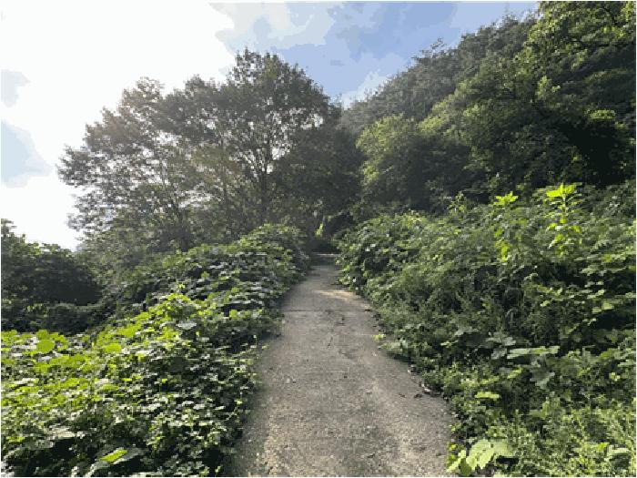 전북특별자치도 순창군 적성면 석산리 279-4 답 경매 사진 9